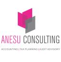 Anesu Consulting logo
